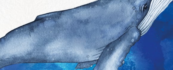 Das Jahr der Wale Schauplätze: Die echten Orte an Kanadas Westküste