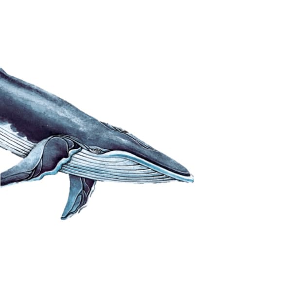 Im Gespräch mit John Ironmonger