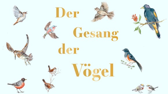 Höre den Gesang der Vögel: Die Stimme der Nachtigall