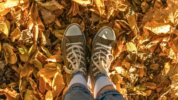 Füße in gelben Herbstlaub
