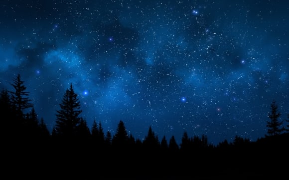 Waldsilhouette bei Nacht, Sternenhimmel