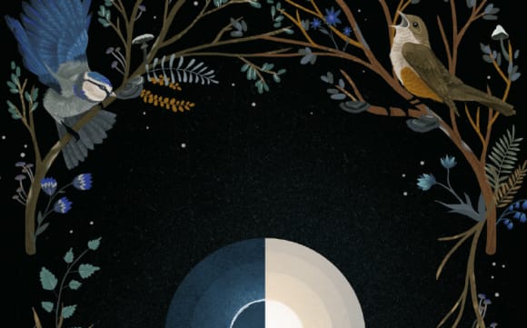 Erdenkind Orakelkarten