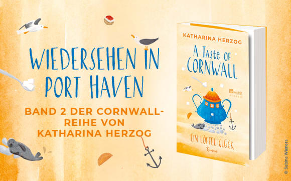 Wiedersehen in Port Haven: Band 2 der Cornwall-Reihe von Katharina Herzog