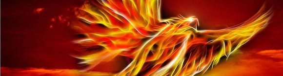 Banner Alles über Phönixe in der Fantasy