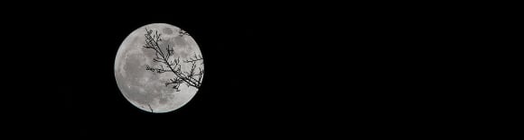 Banner Horrorliteratur: Alles was du über das Genre wissen musst (Teil 2/3)