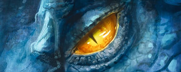 Das gelbe eAuge eines blauen Drachen in Großaufnahme. Vom Cover der