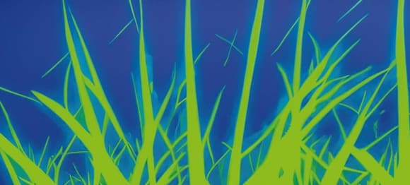 Buchtipps aus dem Otherland September 2024