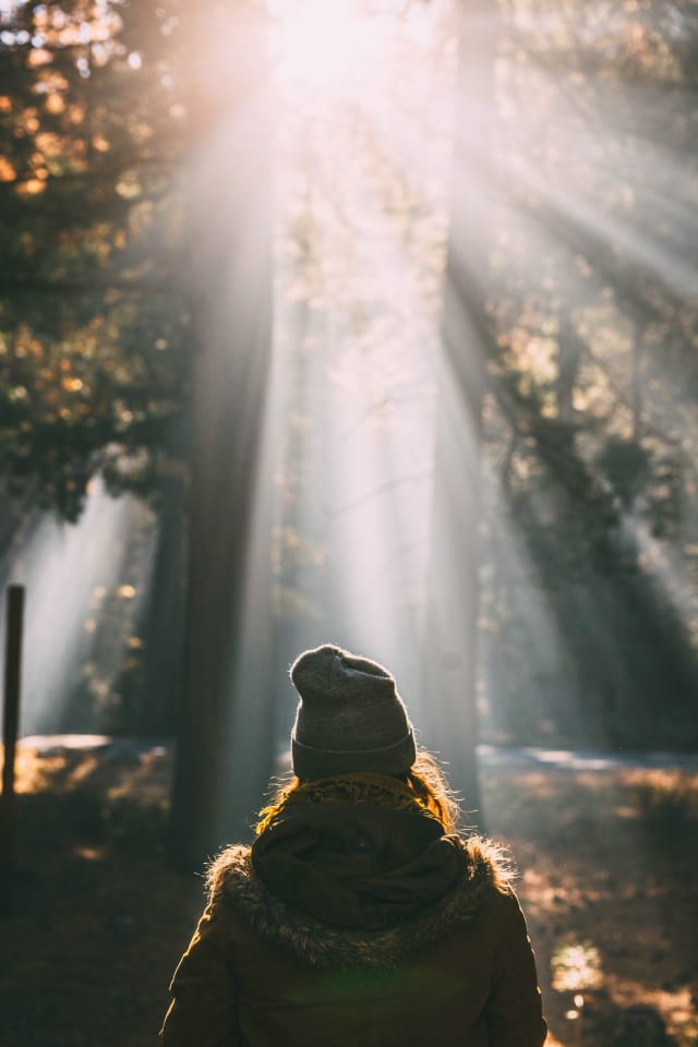 Frau spaziert im Sonnenschein im Wald