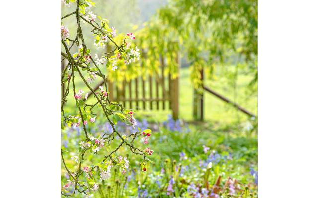 Britischer Frühlingsgarten