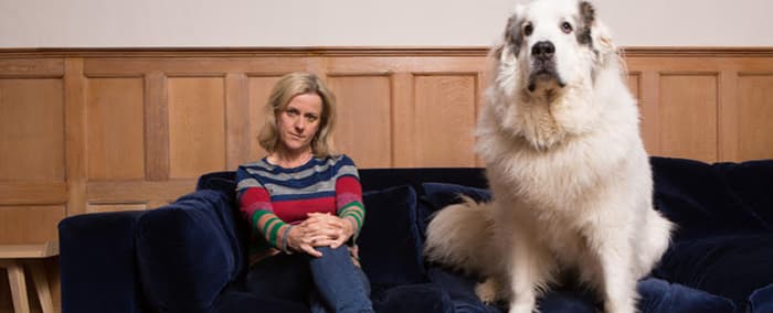 Wie Jojo Moyes zu ihrem Pyrenäenhund BigDog kam – eine Liebesgeschichte
