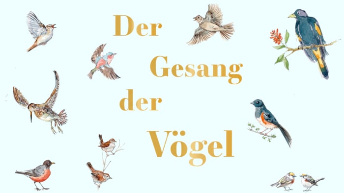 Der Gesang der Vögel Magazinbeitrag