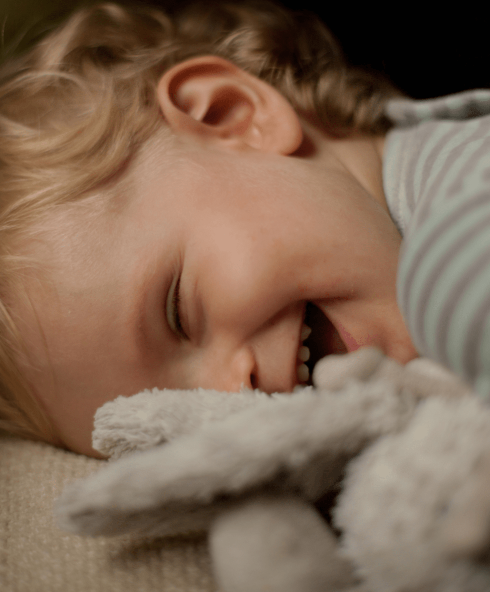 Bobo und Hasi Bücher