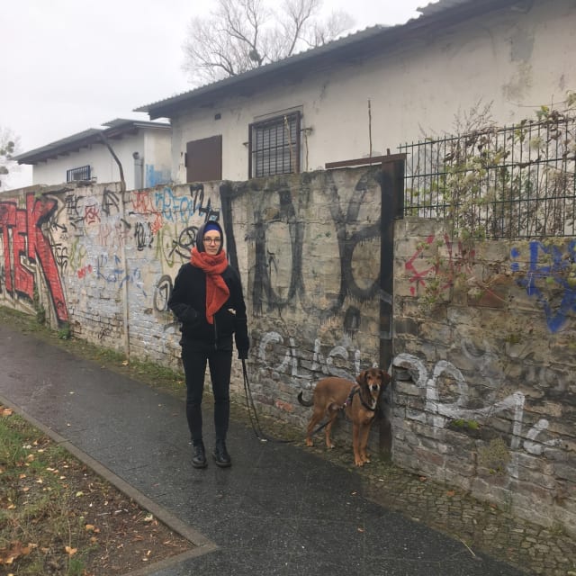 Miniaturbild