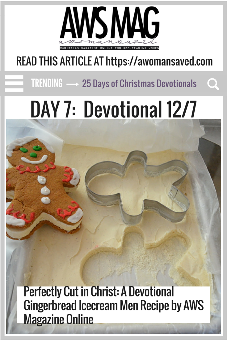 25 Days of Christmas Day 7 Christian Devotional