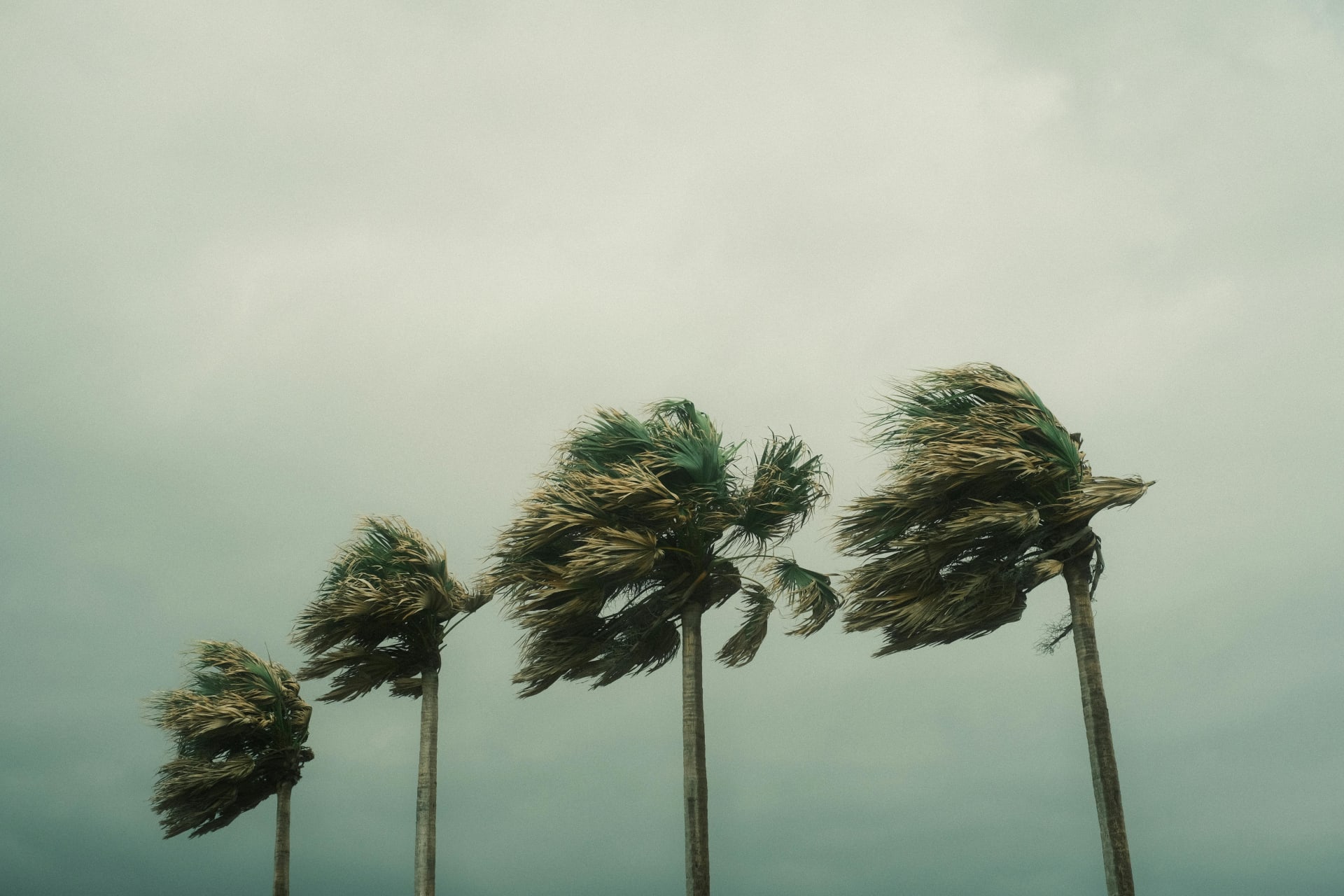 Understanding a Hurricane: Protecting Your Home Before, During, and After