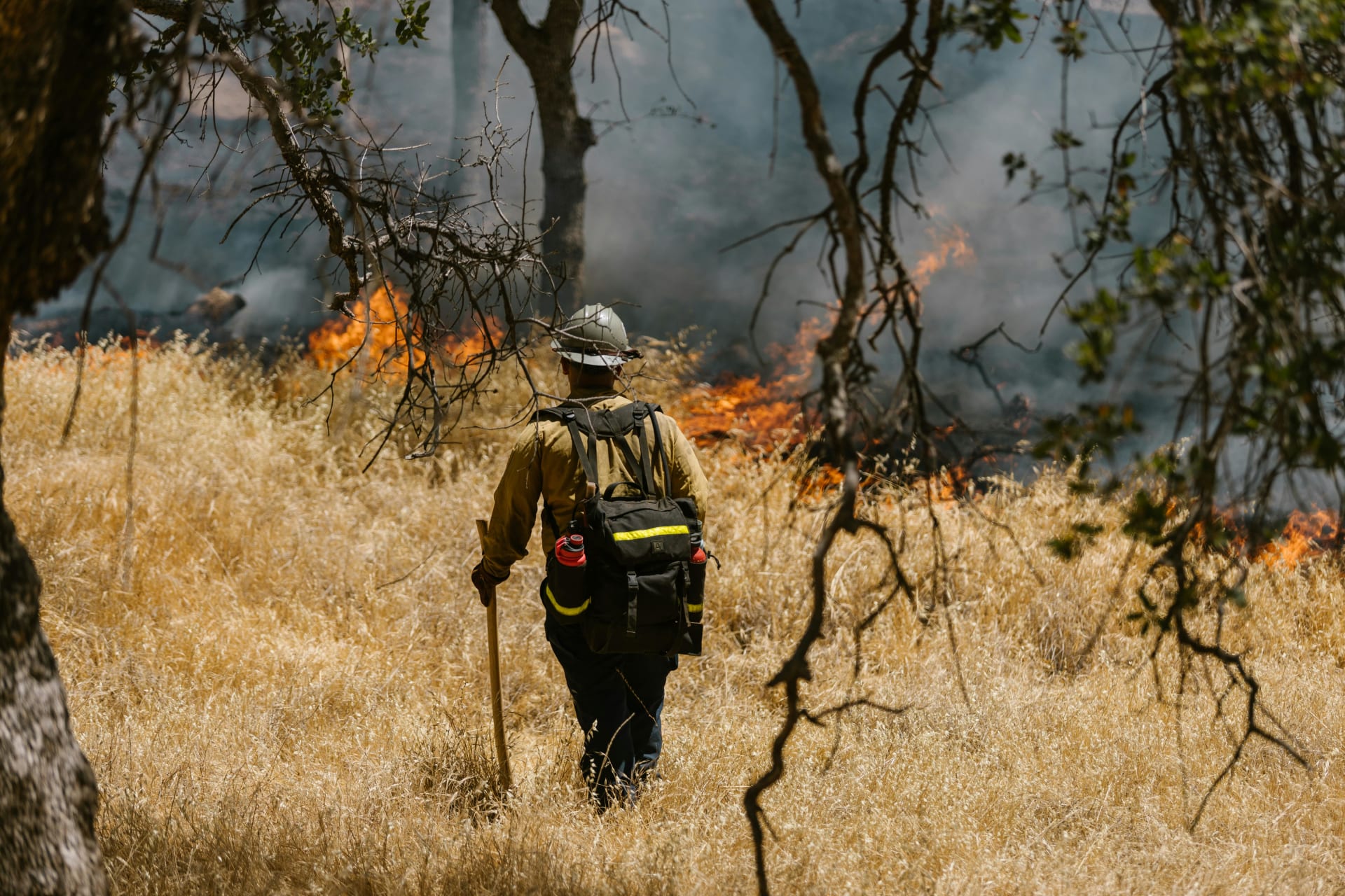 Wildfire Preparedness: Safeguarding Your Home and Family