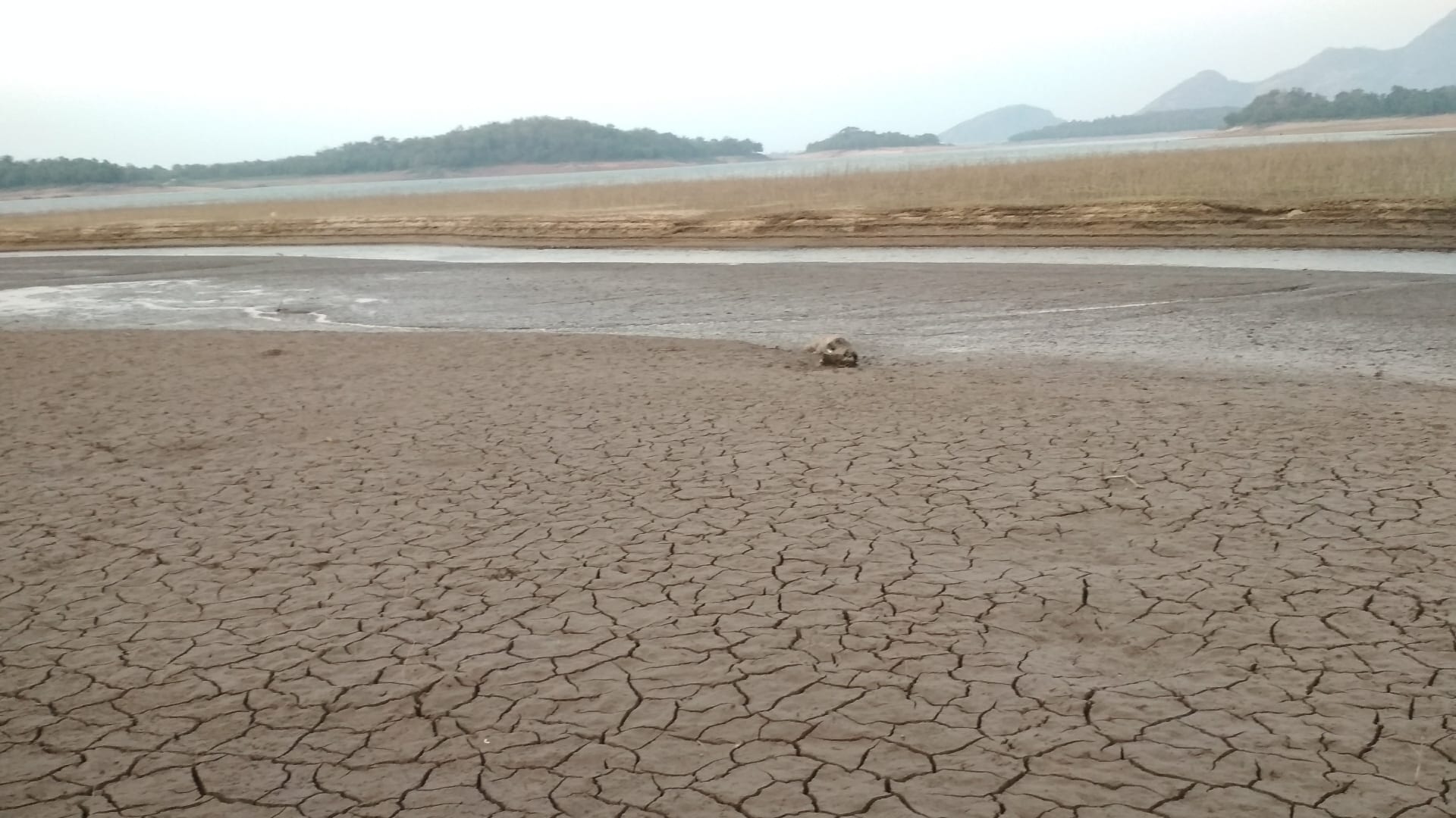 Dealing with Drought: Protecting Your Home from Long-Term Damage