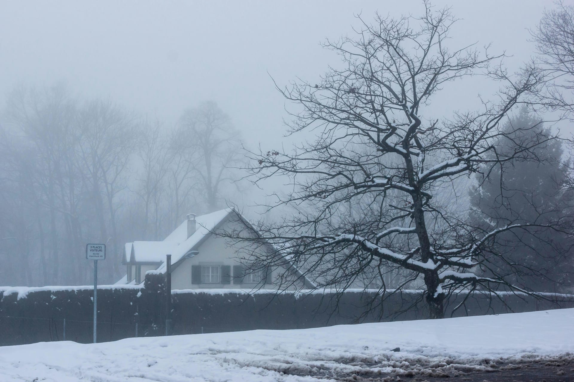Ice Storms: Protecting Your Home from Frozen Devastation