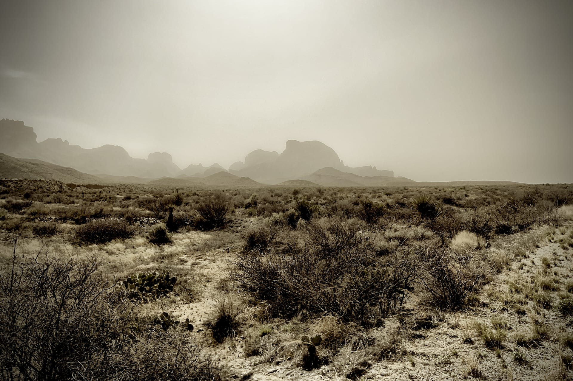 Dust Storms: Preparing Your Home for Blinding Winds