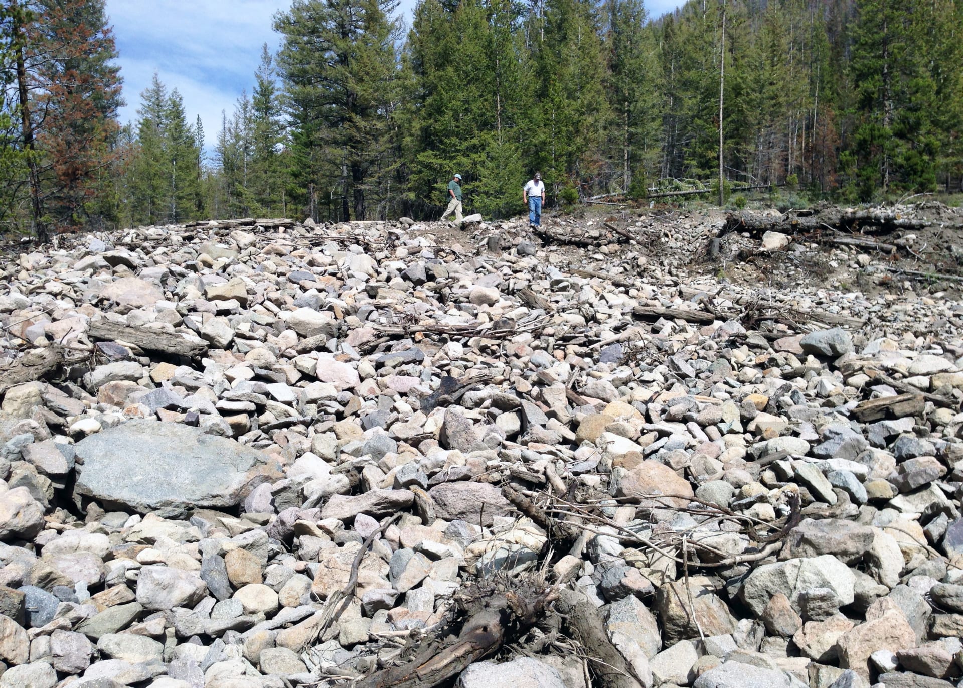 Debris Flows: Managing the Aftermath of a Landslide