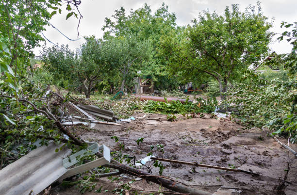 Lahar: Protecting Your Home from Volcanic Mudflows