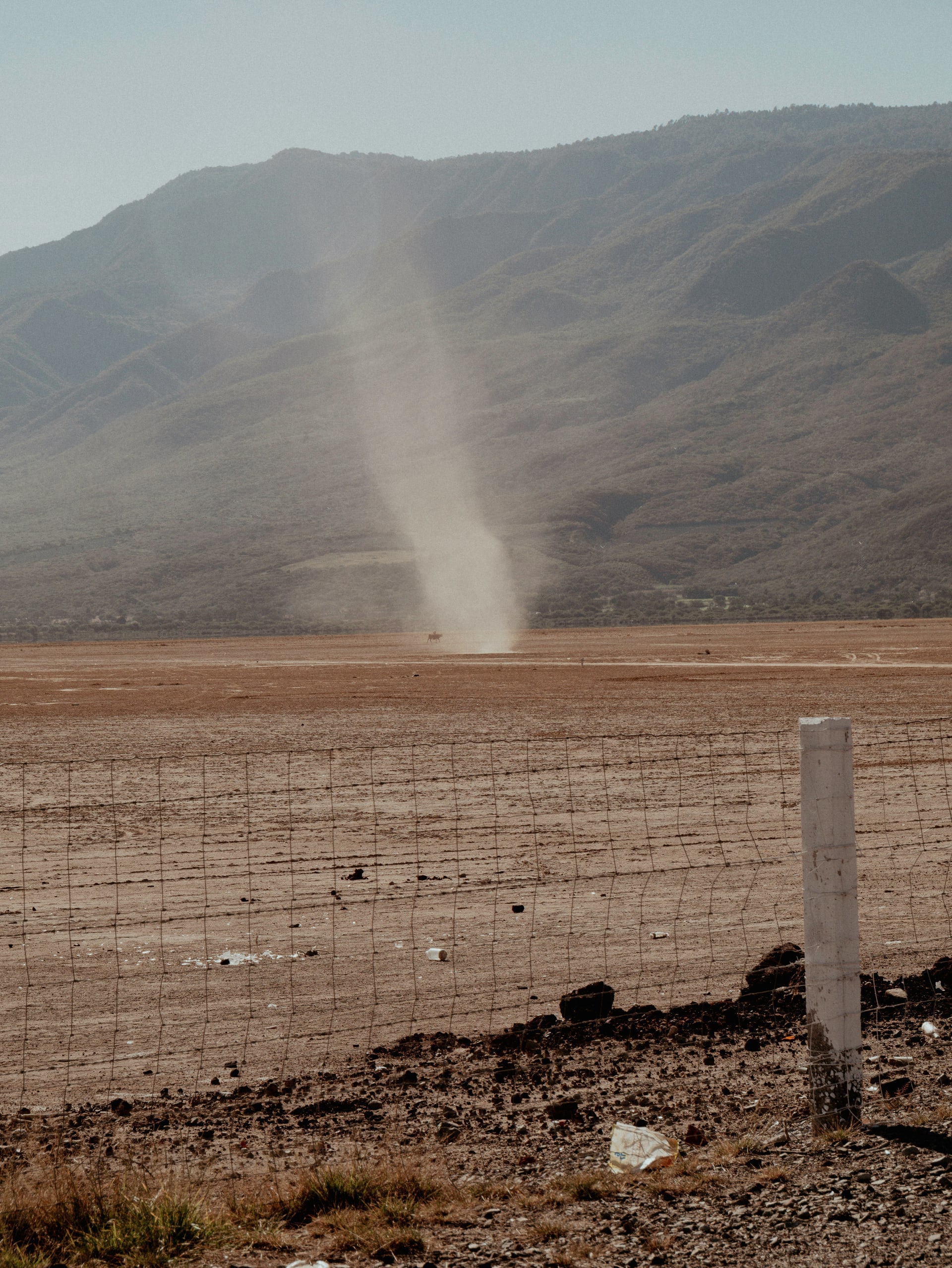 Dust Devils: Protecting Your Home from Spiraling Winds