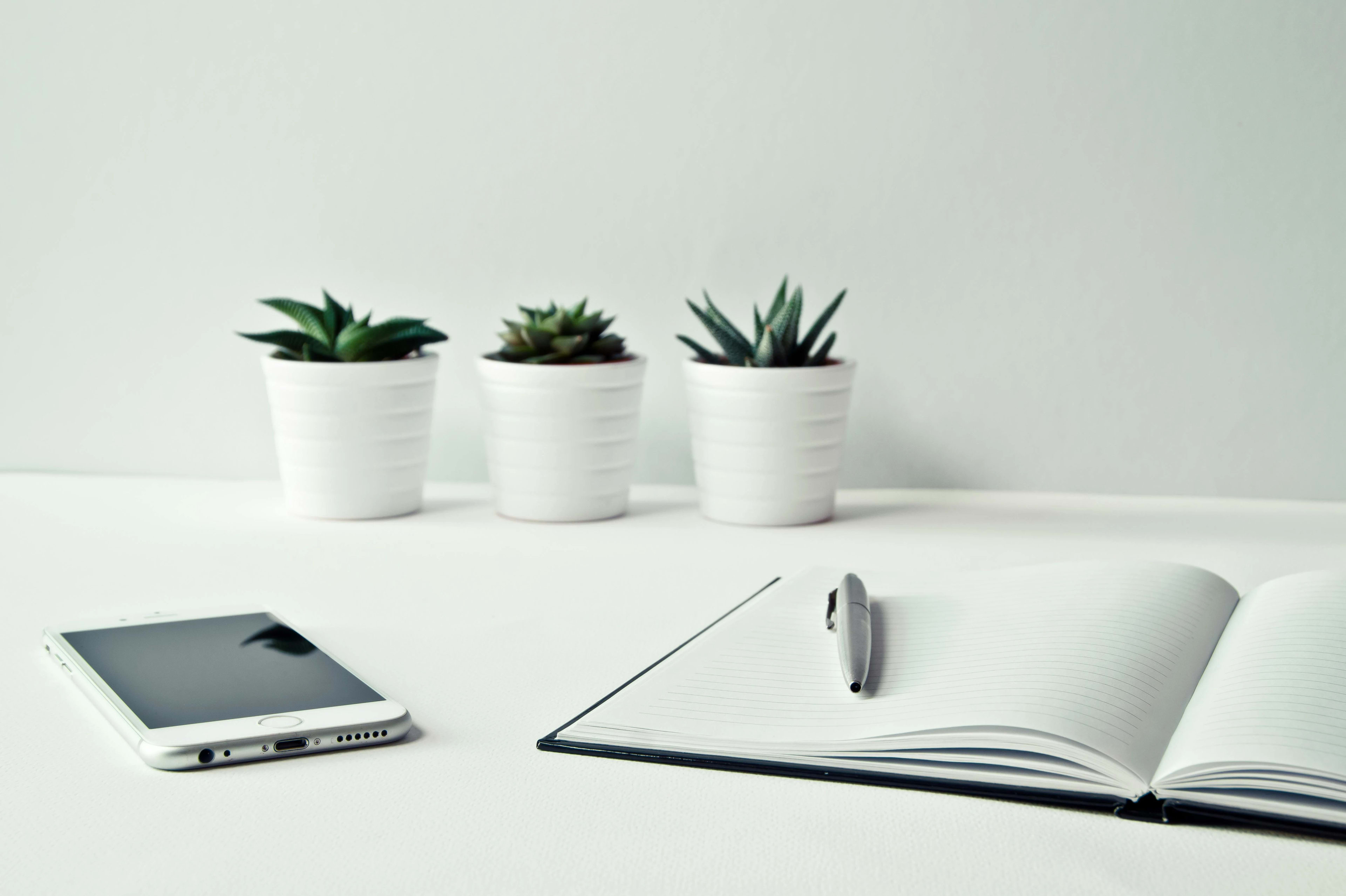 Homads Host Subscription Tiers: A Guide for New Mid‑Term Rental Hosts