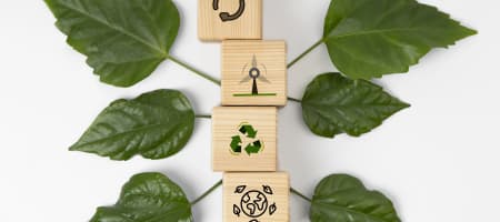 ESG no supermercado: práticas sustentáveis que aumentam competitividade
