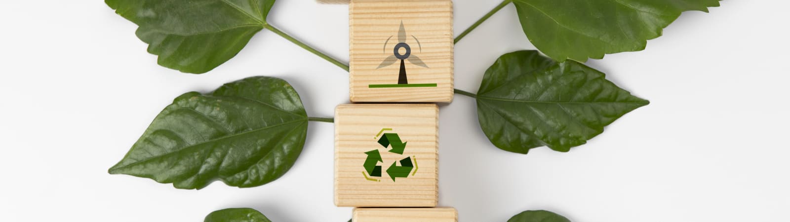 ESG no supermercado: práticas sustentáveis que aumentam competitividade