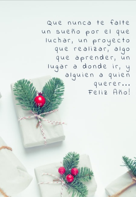 Frases para Año Nuevo - Que nunca te falte un sueño por el que luchar, un proyecto que realizar, algo que aprender, un lugar a donde ir, y alguien a quien querer... Feliz Año!