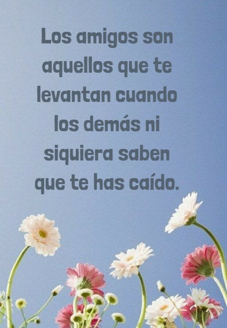 Frases de Amistad - Los amigos son aquellos que te levantan cuando los demás ni siquiera saben que te has caído.