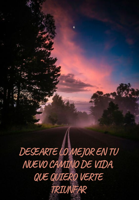 Frases de Amistad - desearte lo mejor en tu nuevo camino de vida, que quiero verte triunfar