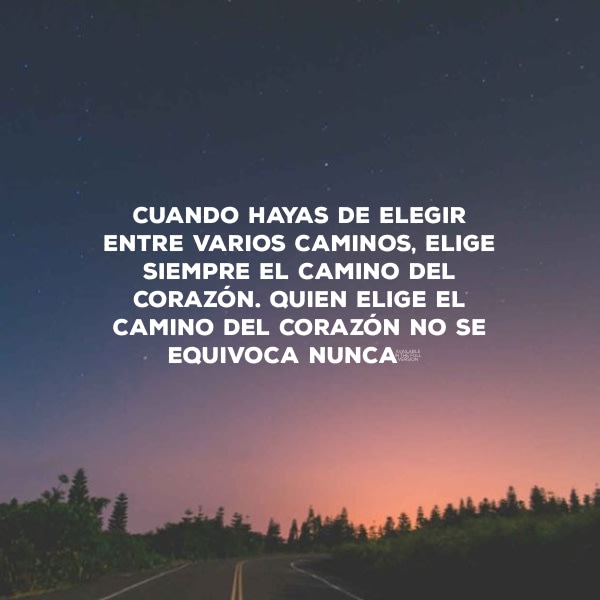 Frases de la Vida - Cuando hayas de elegir entre varios caminos, elige siempre el camino del corazón. Quien elige el camino del corazón no se equivoca nunca"   Proverbio sufí