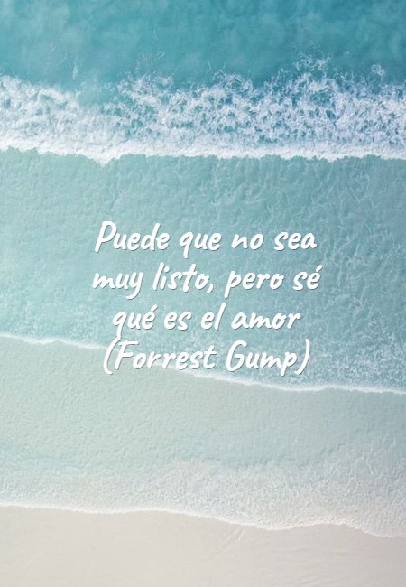 Frases de Desamor - Puede que no sea muy listo, pero sé qué es el amor (Forrest Gump)