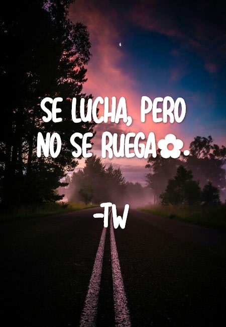 Frases para Reflexionar - Se lucha, pero no se ruega?.                          -Tw
