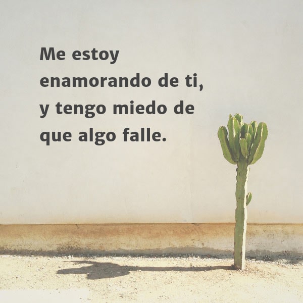 Frases de Amor - Me estoy enamorando de ti, y tengo miedo de que algo falle.