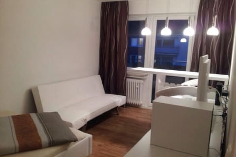 Beautiful studio apartment in Munich-Untergiesig