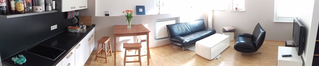 Rent 1 room apartment Stuttgart | Entire place | Stuttgart | Mitten in der Stadt - Dennoch ruhig | Hominext