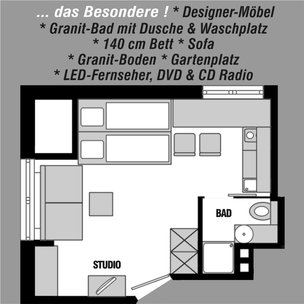 Miete 1 Zimmer Wohnung Mainz | Ganze Wohnung | Mainz | DAS BESONDERE APARTMENT * NOBLE AUSSTATTUNG * NÄHE UNI | Hominext