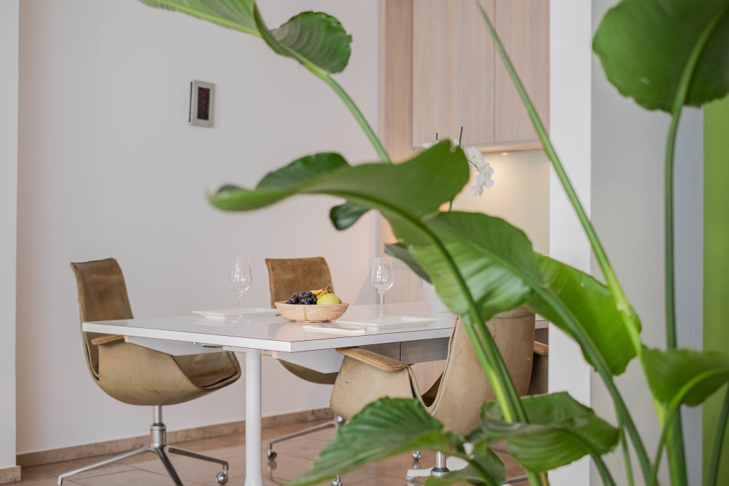 Miete 1 Zimmer Wohnung Düsseldorf | Ganze Wohnung | Düsseldorf | Gehobenes Apartment in mitten Düsseldorfs | Hominext