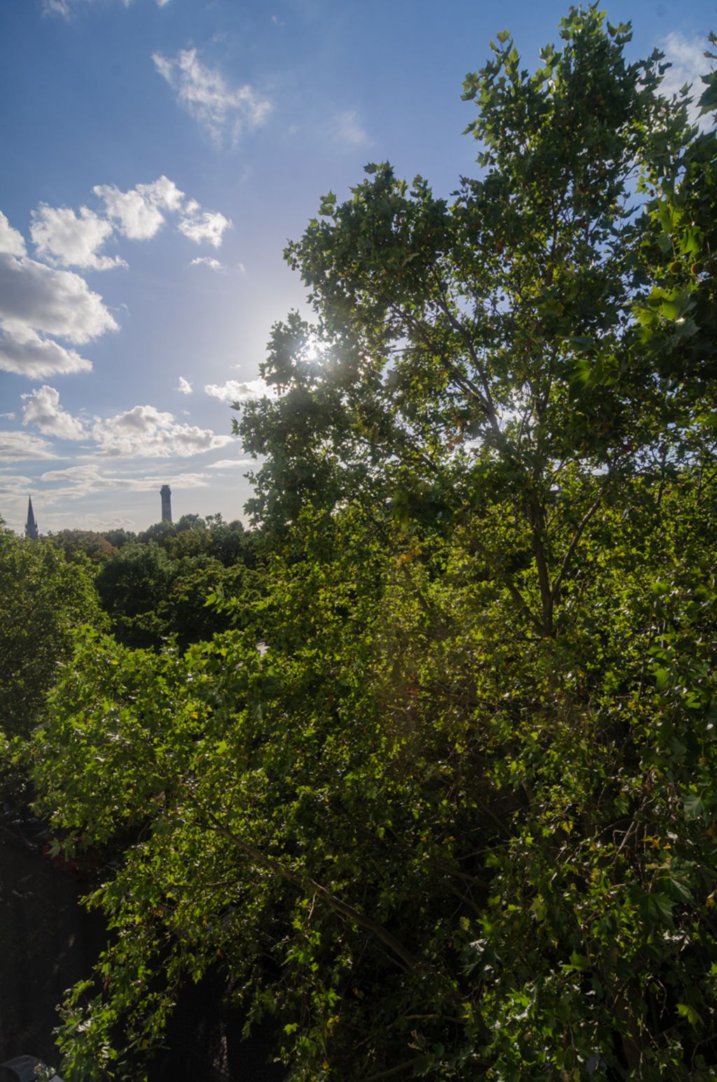 Miete 2 Zimmer Wohnung Berlin | Ganze Wohnung | Berlin | Helle Dachgeschosswohnung mit Parkblick im Herzen von Kreuzberg | Hominext