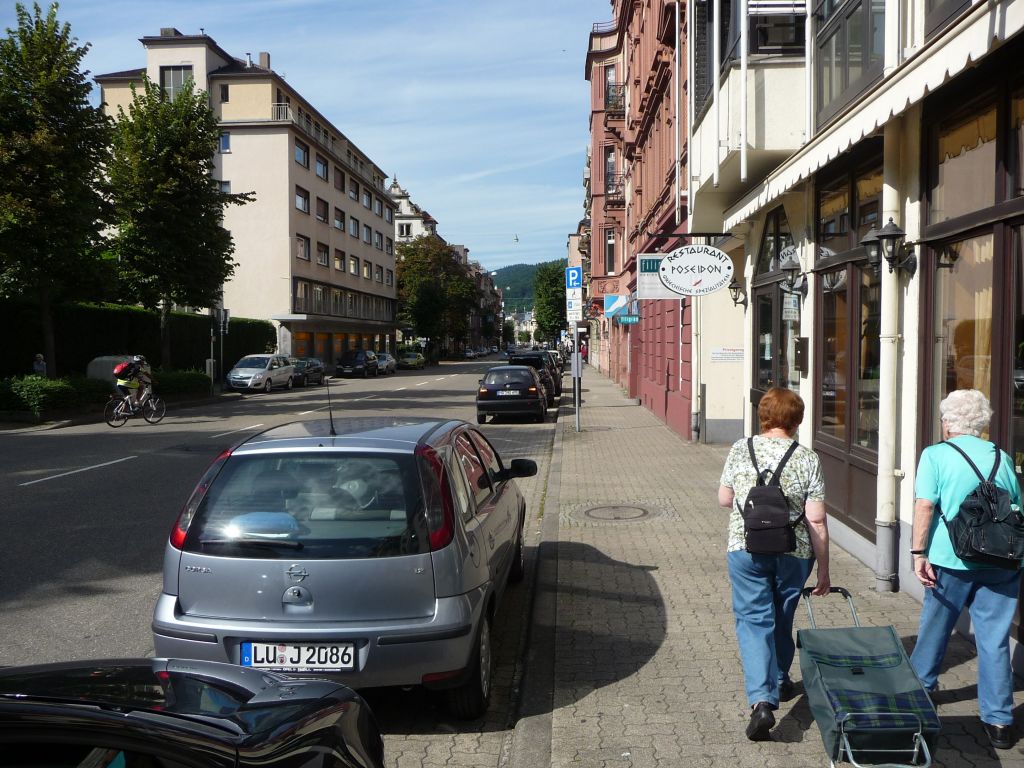 Miete 1 Zimmer Wohnung Heidelberg | Ganze Wohnung | Heidelberg | Wunderschöne Weststadtwohnung mit Gaisbergblick | Hominext