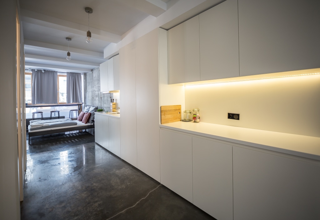 Miete 1 Zimmer Wohnung Berlin | Ganze Wohnung | Berlin | Modernes Loft Apartment in bester Lage in Mitte | Hominext