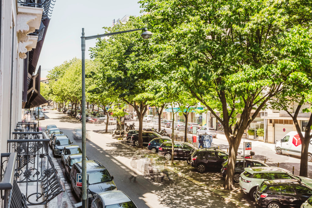 Avenida Casal Ribeiro