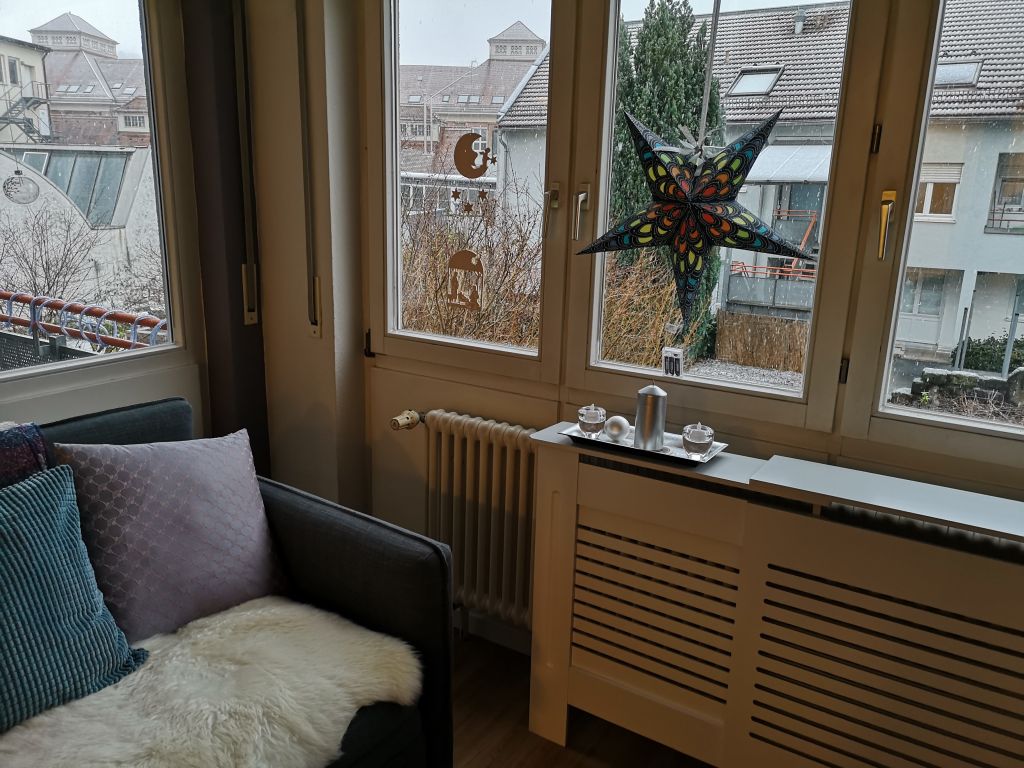 Miete 1 Zimmer Wohnung Esslingen am Neckar | Ganze Wohnung | Esslingen am Neckar | ruhige 1,5 Zimmer-Wohnung mit Terrasse in Stadtmitte Esslingen | Hominext