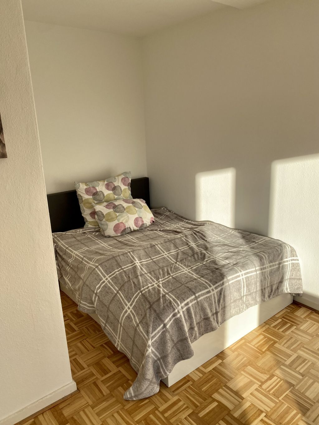 Miete 1 Zimmer Wohnung Kiel | Ganze Wohnung | Kiel | Gemütliches & schickes Apartment | Hominext