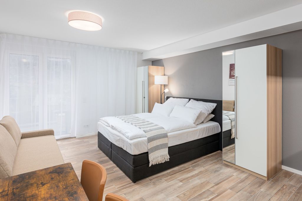 Rent 1 room apartment Heidelberg | Entire place | Heidelberg | Neueröffnung: Businessapartment mit Aussicht | Hominext