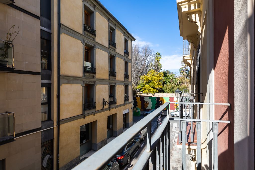 Carrer del Botànic