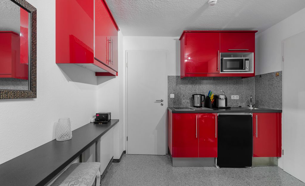 Miete 1 Zimmer Wohnung Mainz | Ganze Wohnung | Mainz | Das besondere Apartment mit Charme in Nähe Uni | Hominext