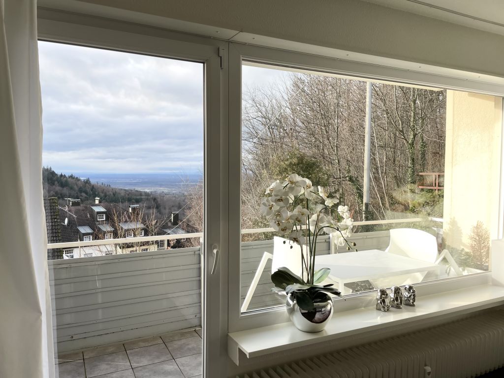 Rent 1 room apartment Baden-Baden | Entire place | Baden-Baden | Modernes Apartment Sunset mit tollem Blick | Hominext